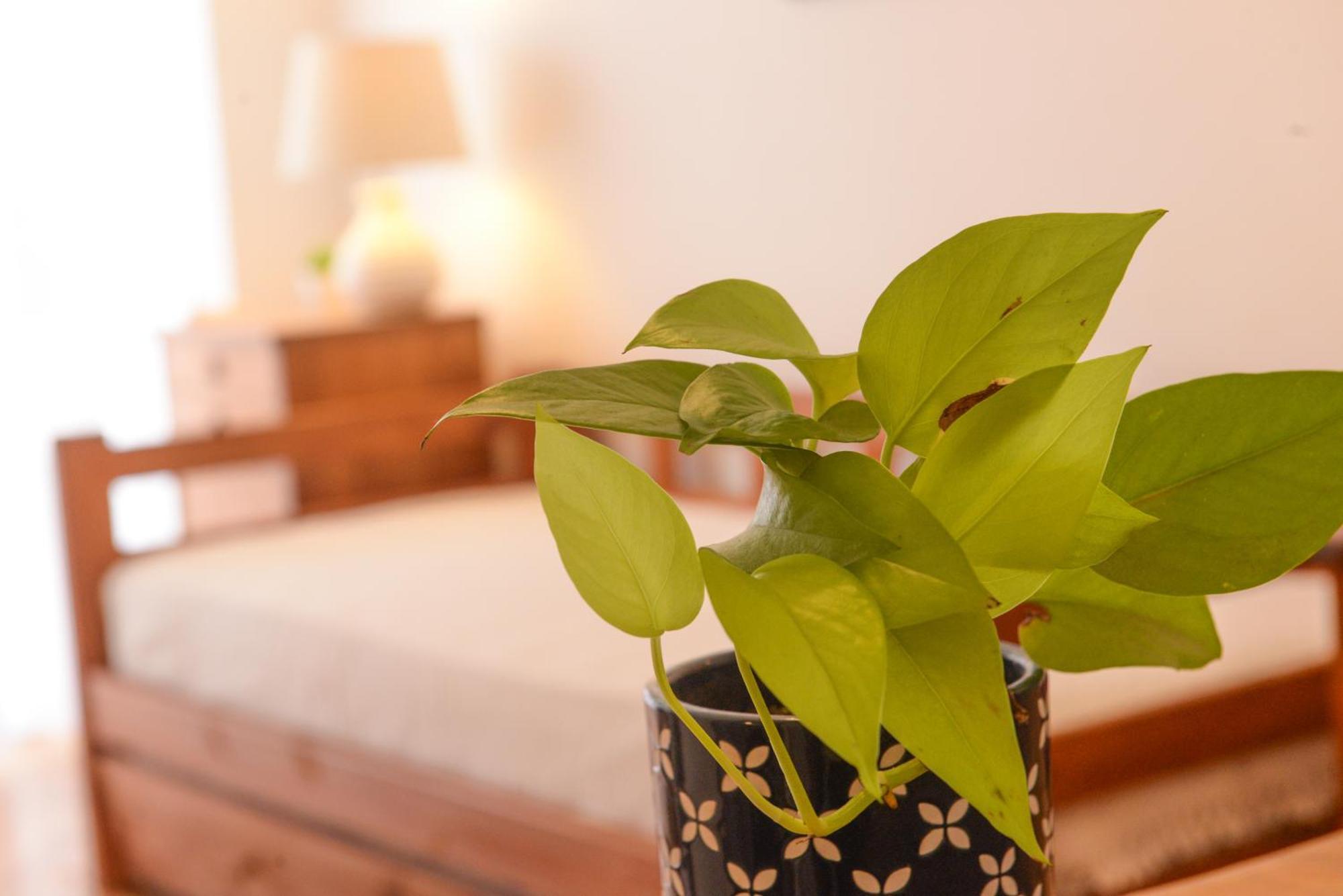 Imperdible En Palermo Botanico La Rural Seguridad 24Hs Apartment Buenos Aires Bagian luar foto